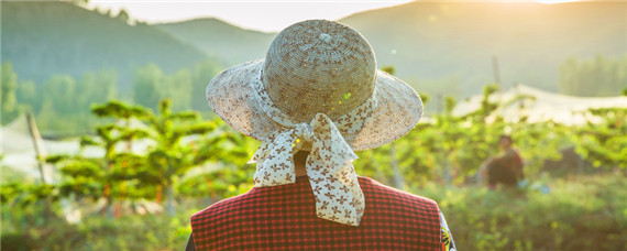 冬季农事活动有哪些