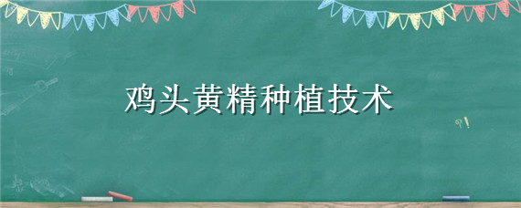 鸡头黄精种植技术