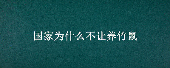 国家为什么不让养竹鼠