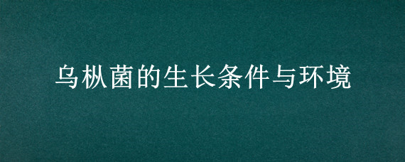 乌枞菌的生长条件与环境