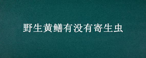 野生黄鳝有没有寄生虫