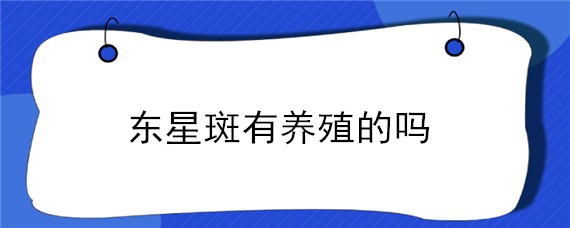 东星斑有养殖的吗