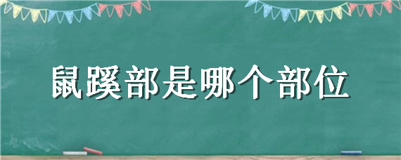 鼠蹊部是哪个部位