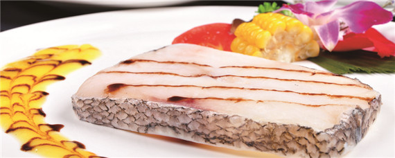 银鳕鱼养殖条件