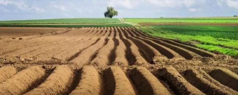 耕地分级五种耕地类型