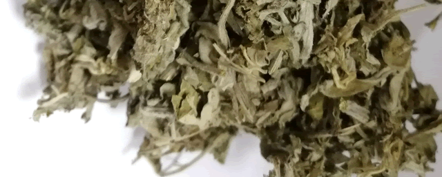 艾叶的副作用有什么