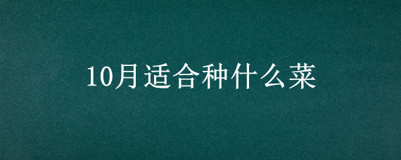 10月适合种什么菜