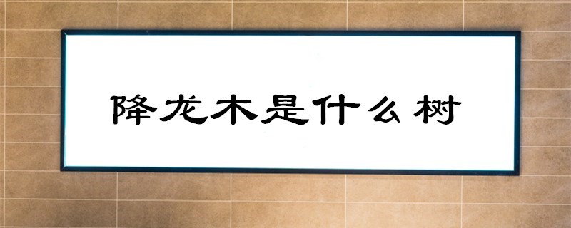 降龙木是什么树