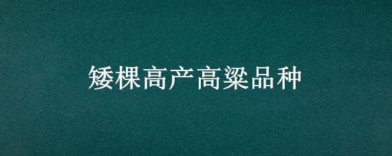 矮棵高产高粱品种
