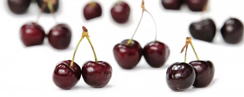 黑樱桃几年可以挂果