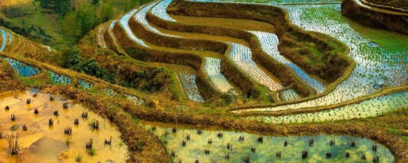 em菌发酵方法em菌改良土壤的方法