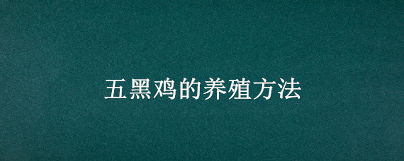 五黑鸡的养殖方法