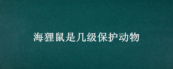 海狸鼠是几级保护动物