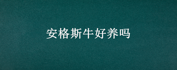 安格斯牛好养吗