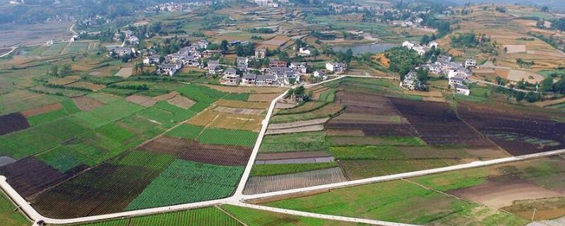 农村如何创业找项目乡村建设5个方面