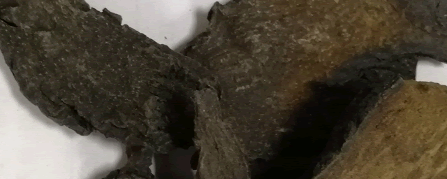 一亩吴茱萸年产多少钱