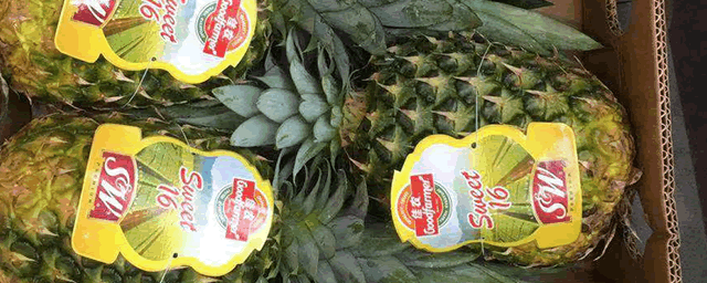 菠萝多少钱一斤