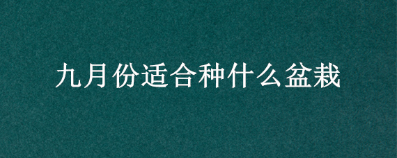 九月份适合种什么盆栽