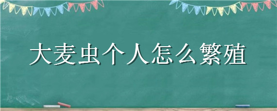 大麦虫个人怎么繁殖