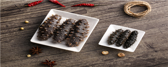 海参属于海鲜吗