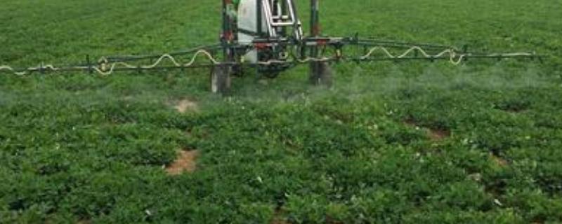 阴天打药作物能吸收吗阴天打药好还是晴天打药好