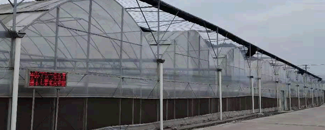 一亩羊肚菌投资多少钱