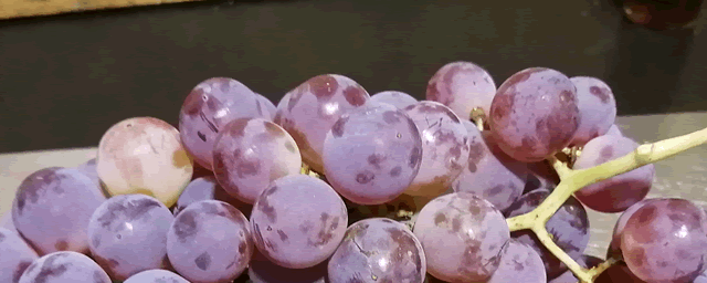 葡萄白腐病用什么药好