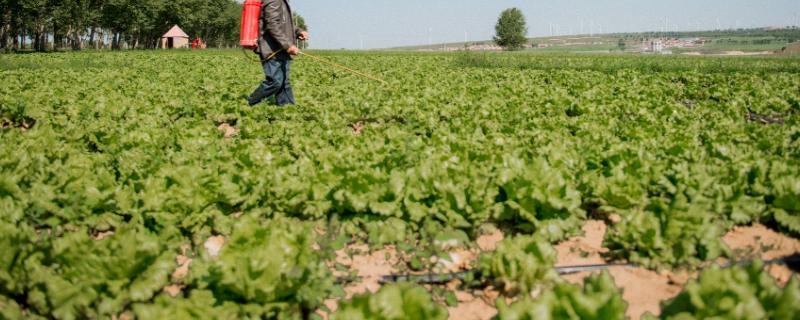 使百克咪鲜胺使用说明百泰和咪鲜胺能不能配