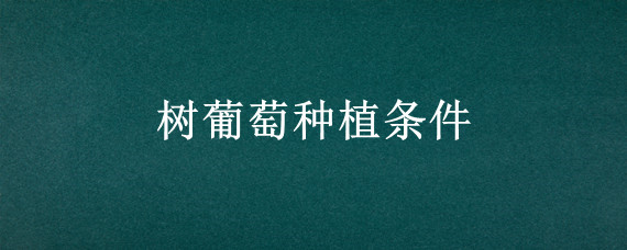 树葡萄种植条件