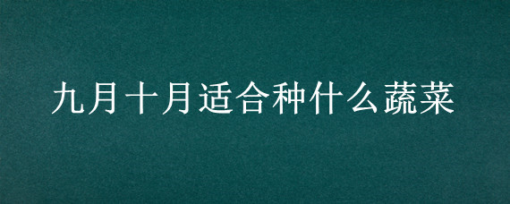 九月十月适合种什么蔬菜