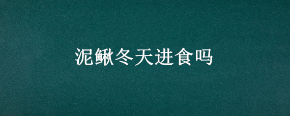 泥鳅冬天进食吗