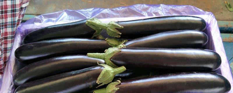 果蔬采收和采后商品化处理流程及其技术要点成熟度可以从哪几个方面来确定