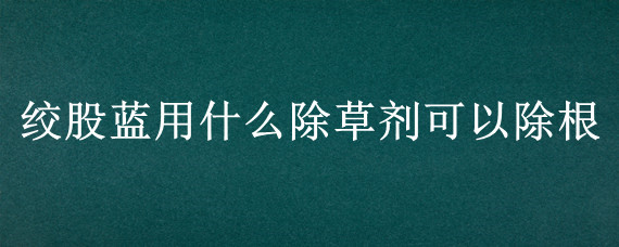 绞股蓝用什么除草剂可以除根