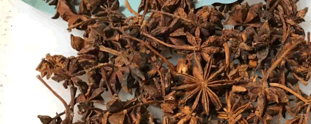 八角树种植技术