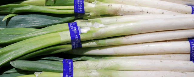 大葱育苗时间表