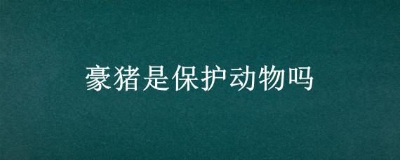 豪猪是保护动物吗