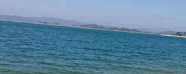 鱼长白毛怎么办