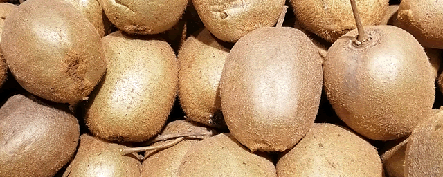 如何防治猕猴桃桑白蚧