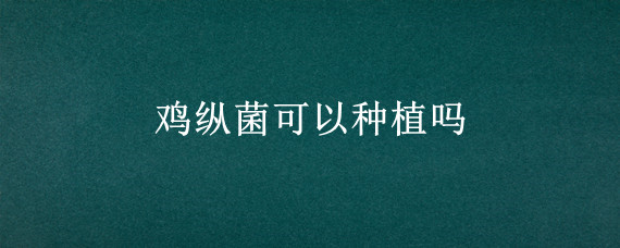 鸡纵菌可以种植吗