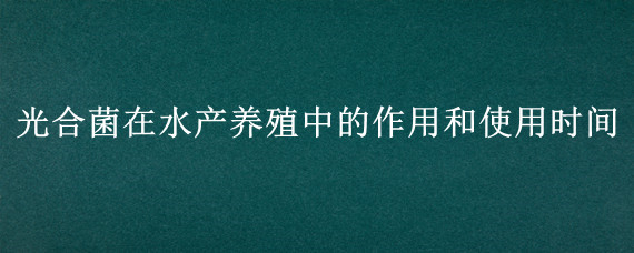 光合菌在水产养殖中的作用和使用时间