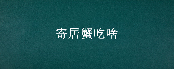 寄居蟹吃啥