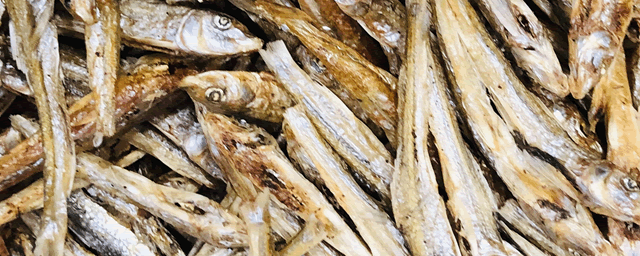 蛇最喜欢吃什么食物