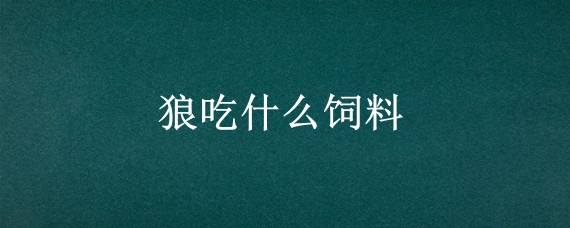 狼吃什么饲料
