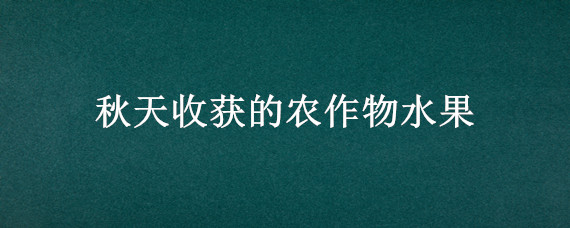 秋天收获的农作物水果