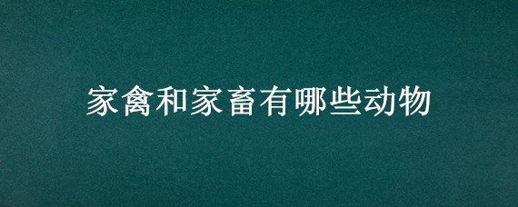 家禽和家畜有哪些动物