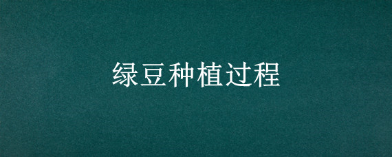 绿豆种植过程