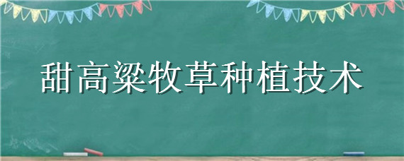 甜高粱牧草种植技术