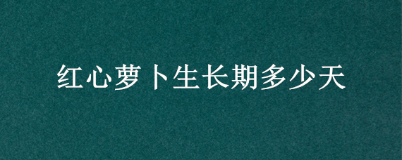 红心萝卜生长期多少天