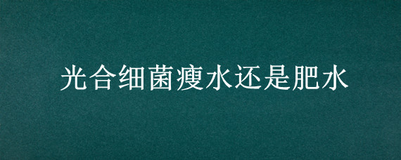 光合细菌瘦水还是肥水