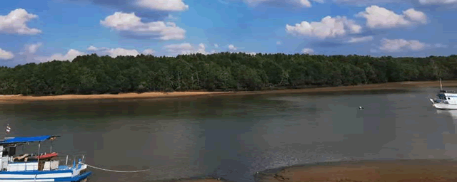 养殖泥鳅鱼一亩地的效益是多少